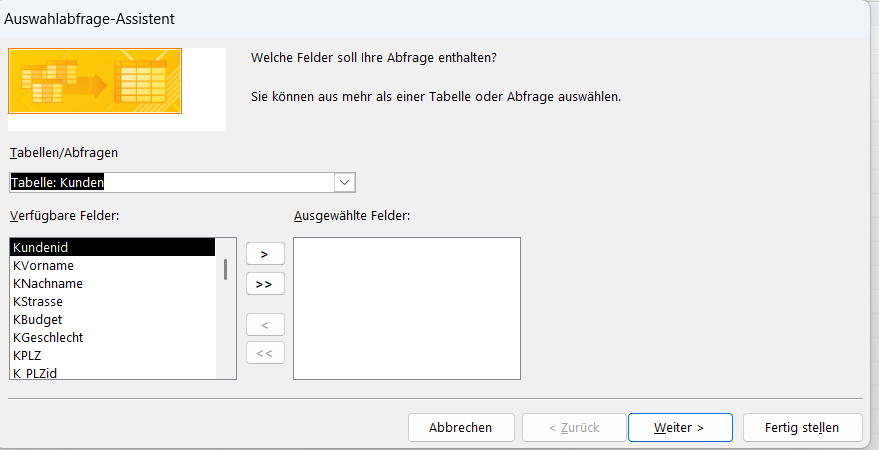 Abfrage-Assistent
