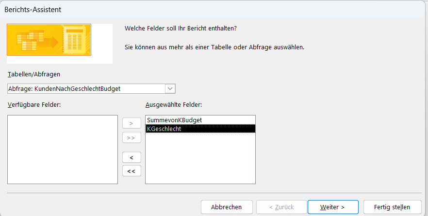 Bericht-Assistent-Dialog